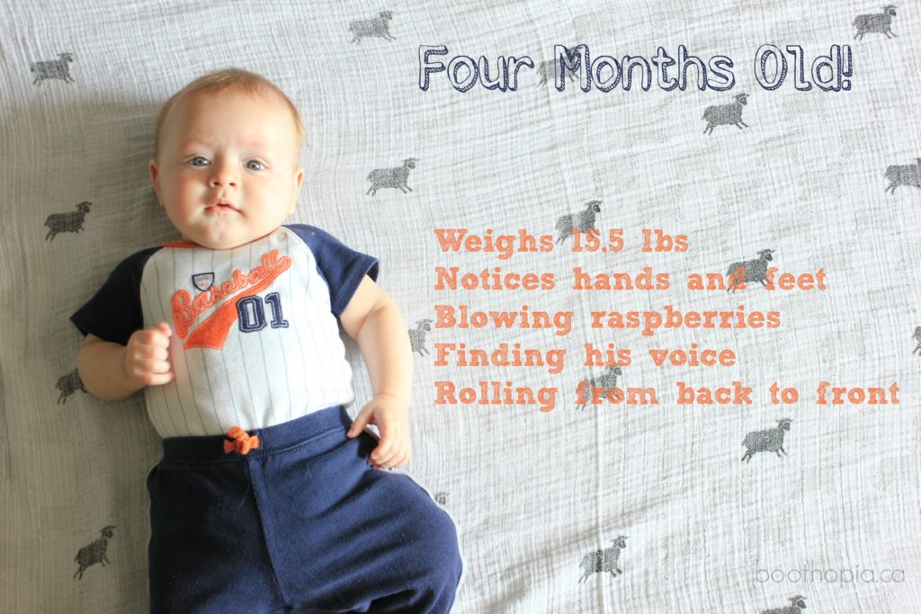 Ziggy is four months old!